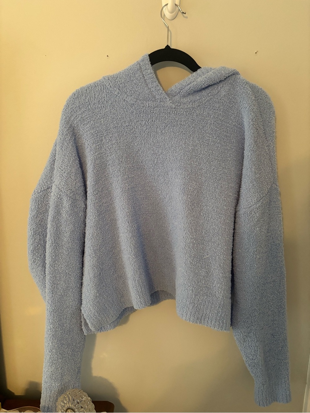 aerie Light Blue Plush Hooded Cropped Sweater